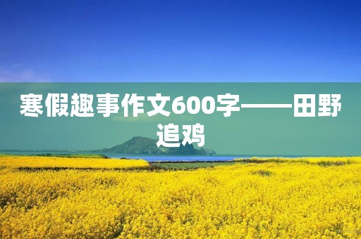 寒假趣事作文600字——田野追鸡