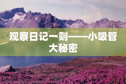 观察日记一则——小吸管大秘密