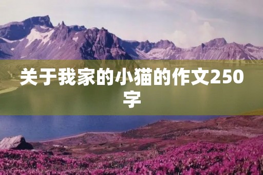 关于我家的小猫的作文250字 关于我家的小猫的作文250字