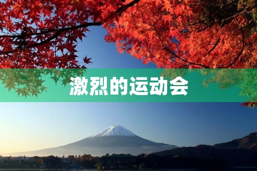 激烈的运动会