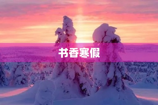 书香寒假