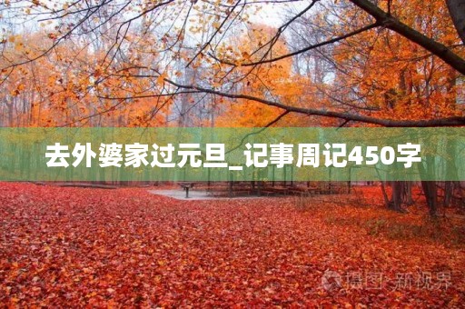 去外婆家过元旦_记事周记450字 去外婆家过元旦_记事周记450字
