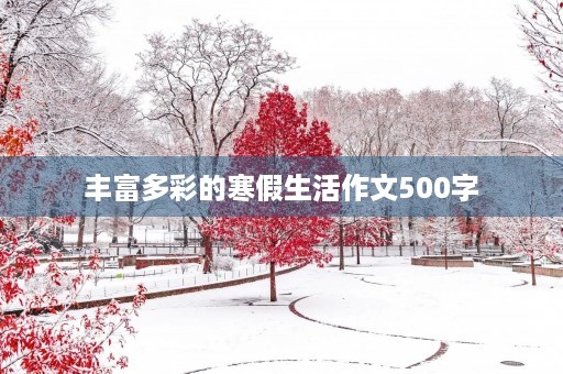 丰富多彩的寒假生活作文500字