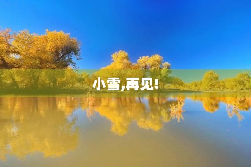 小雪,再见!