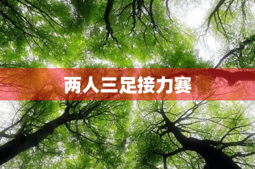 两人三足接力赛 两人三足接力赛