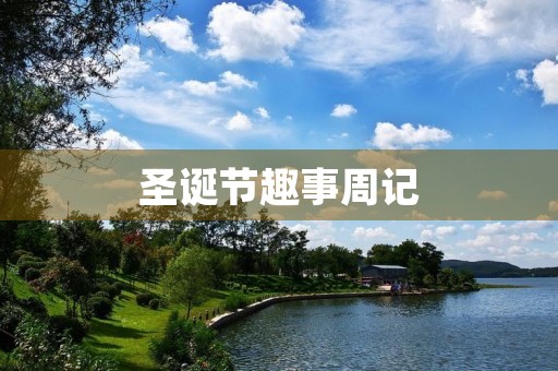 圣诞节趣事周记