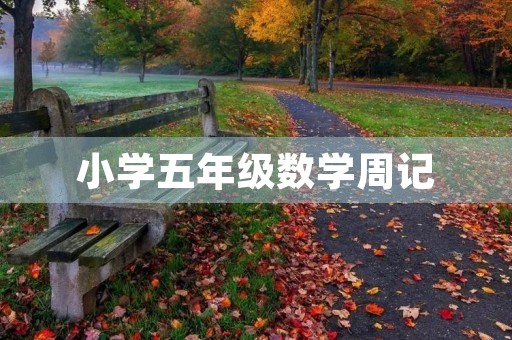 小学五年级数学周记 小学五年级数学周记