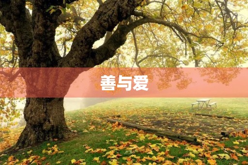 善与爱