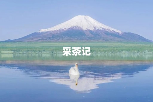 采茶记 采茶记