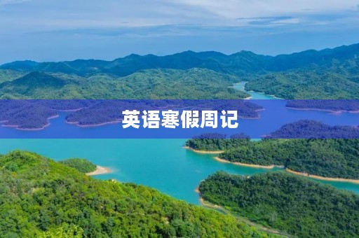 英语寒假周记