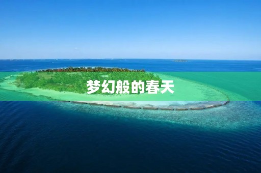 梦幻般的春天 梦幻般的春天