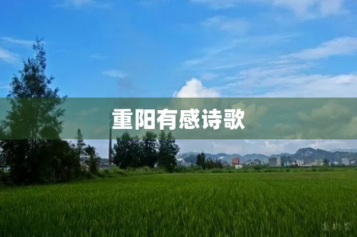 重阳有感诗歌