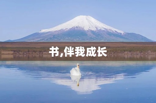 书,伴我成长