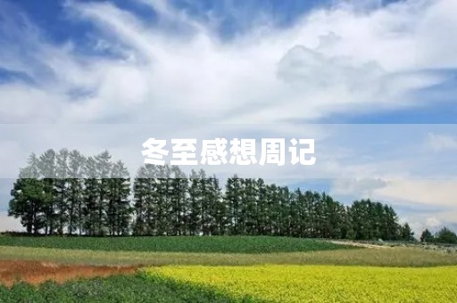 冬至感想周记
