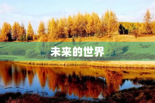 未来的世界 未来的世界