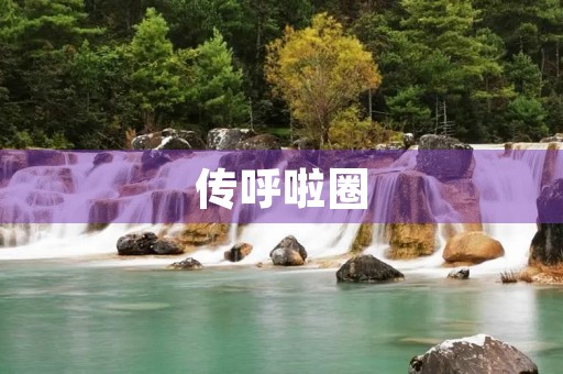 传呼啦圈