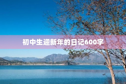 初中生迎新年的日记600字
