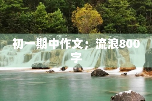 初一期中作文；流浪800字