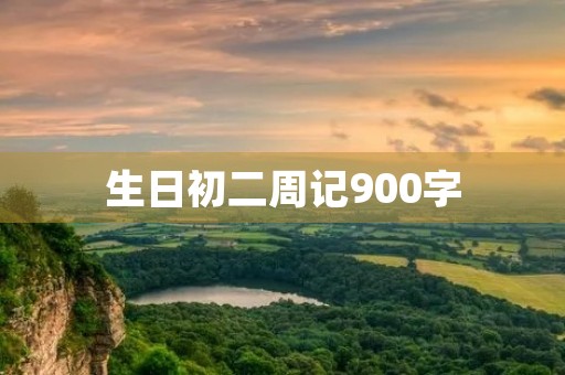 生日初二周记900字