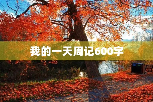 我的一天周记600字 我的一天周记600字