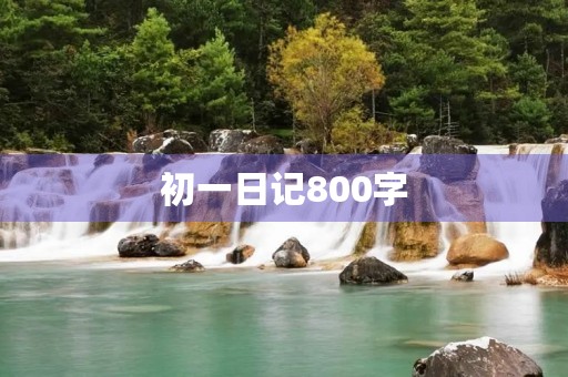 初一日记800字
