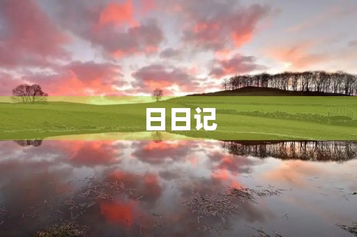 日日记