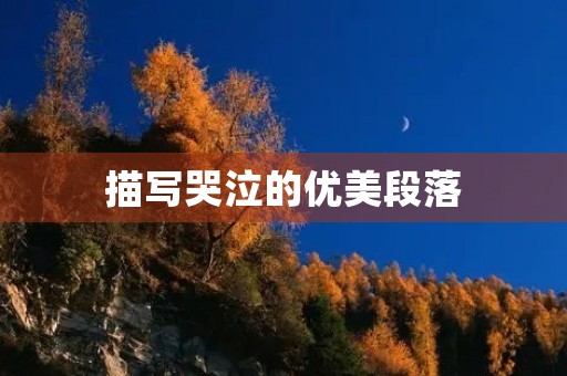 描写哭泣的优美段落