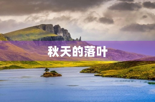 秋天的落叶