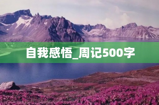 自我感悟_周记500字