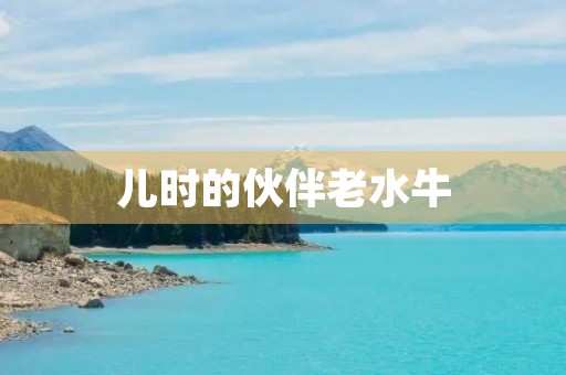儿时的伙伴老水牛