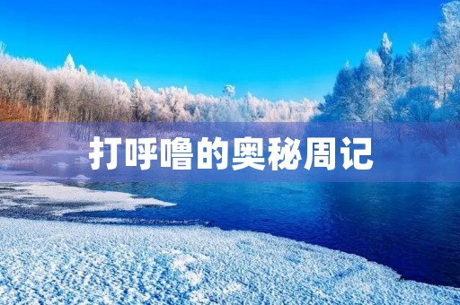 打呼噜的奥秘周记 打呼噜的奥秘周记