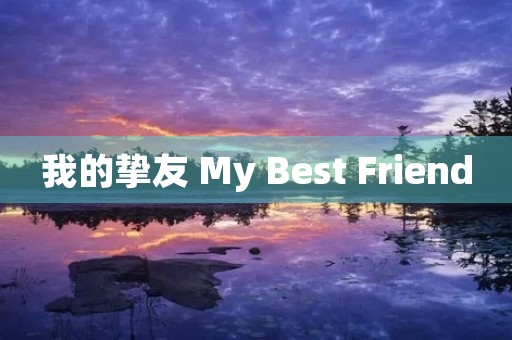 我的挚友 My Best Friend 我的挚友 My Best Friend