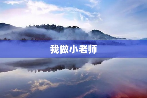 我做小老师