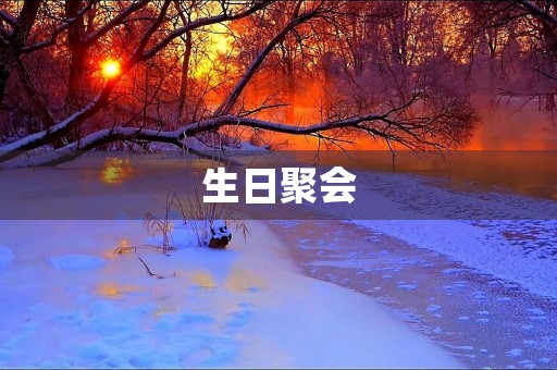 生日聚会 生日聚会
