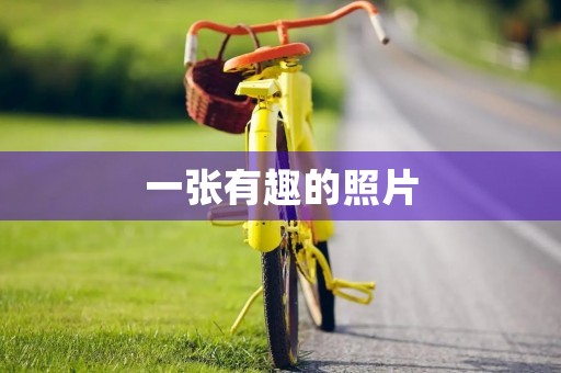 一张有趣的照片