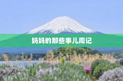 妈妈的那些事儿周记