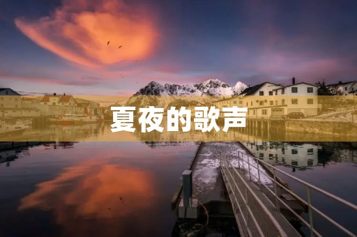 夏夜的歌声 夏夜的歌声
