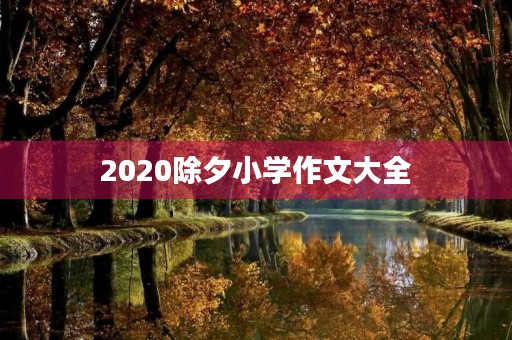 2020除夕小学作文大全