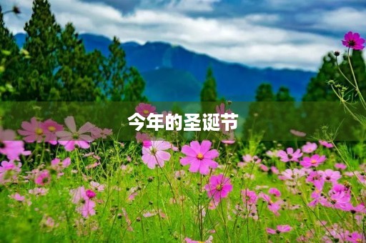 今年的圣诞节 今年的圣诞节