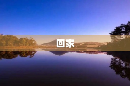回家