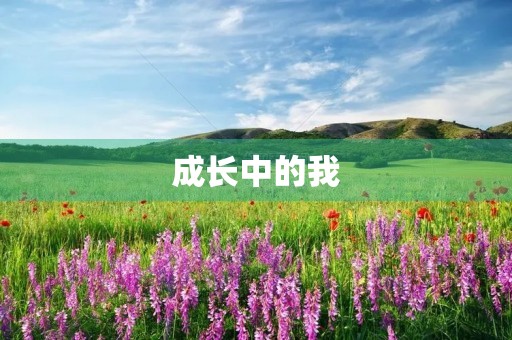 成长中的我 成长中的我