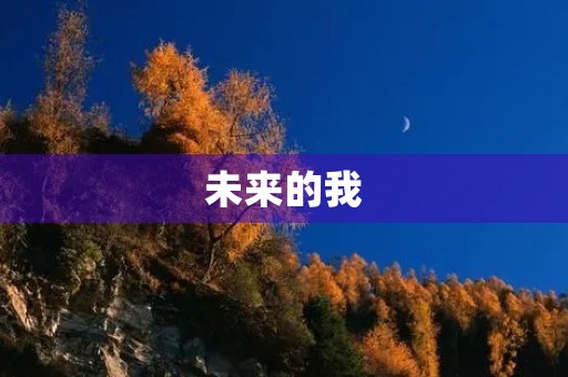 未来的我