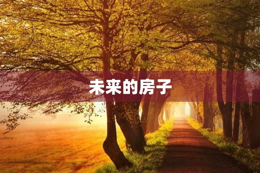 未来的房子