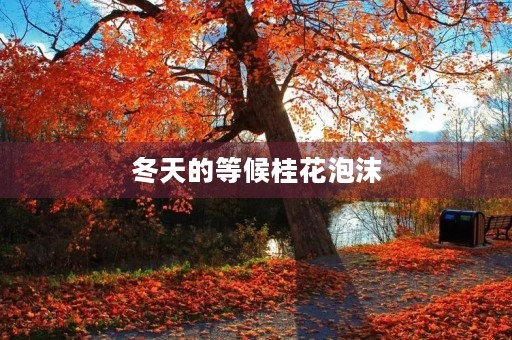冬天的等候桂花泡沫