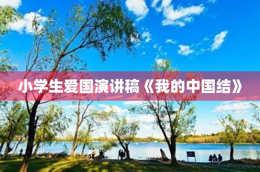 小学生爱国演讲稿《我的中国结》