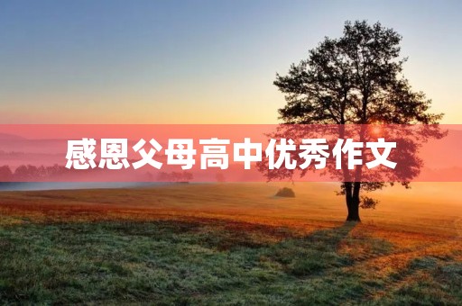 感恩父母高中优秀作文 感恩父母高中优秀作文