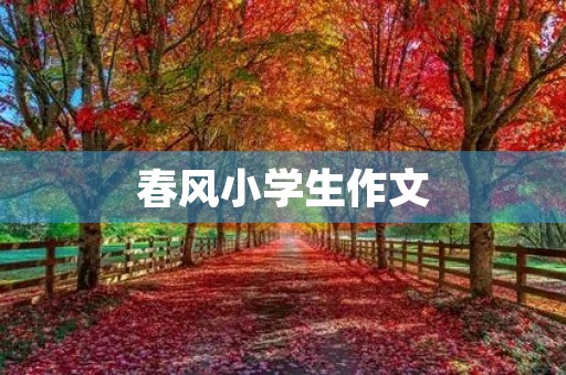 春风小学生作文 春风小学生作文