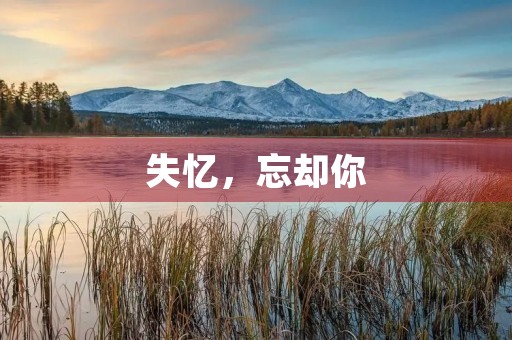 失忆,忘却你 失忆,忘却你