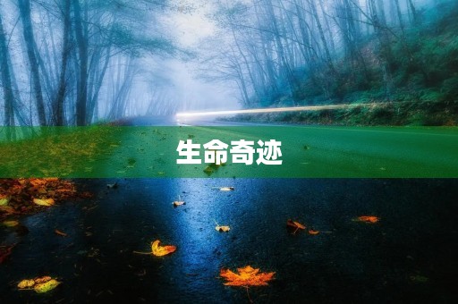 生命奇迹 生命奇迹