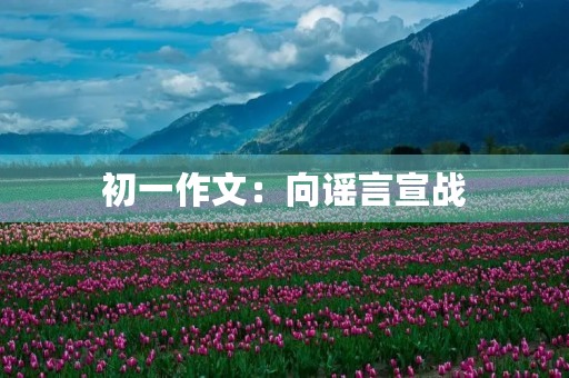 初一作文:向谣言宣战 初一作文:向谣言宣战